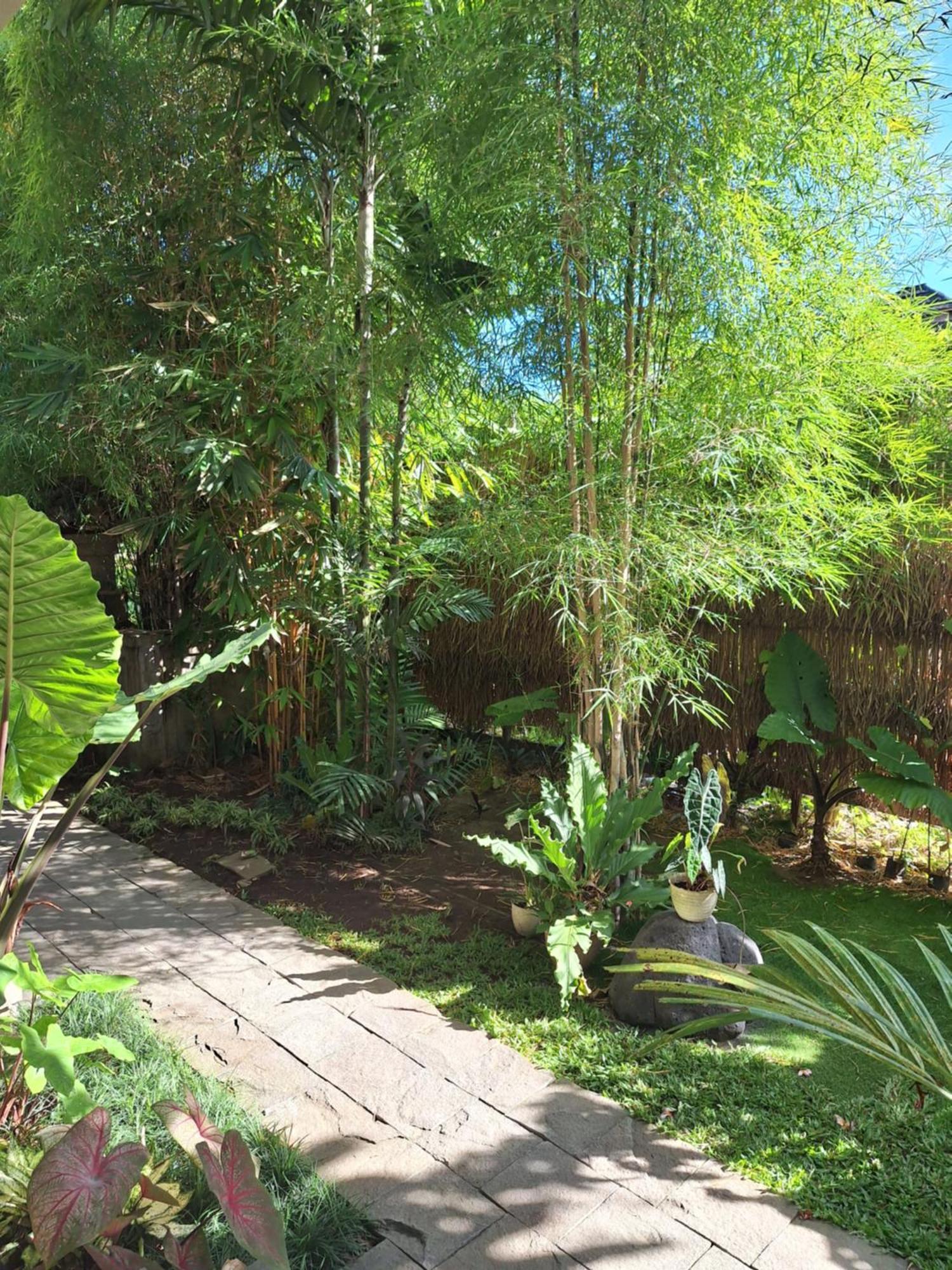 Kasapa Inn Ubud Exteriör bild