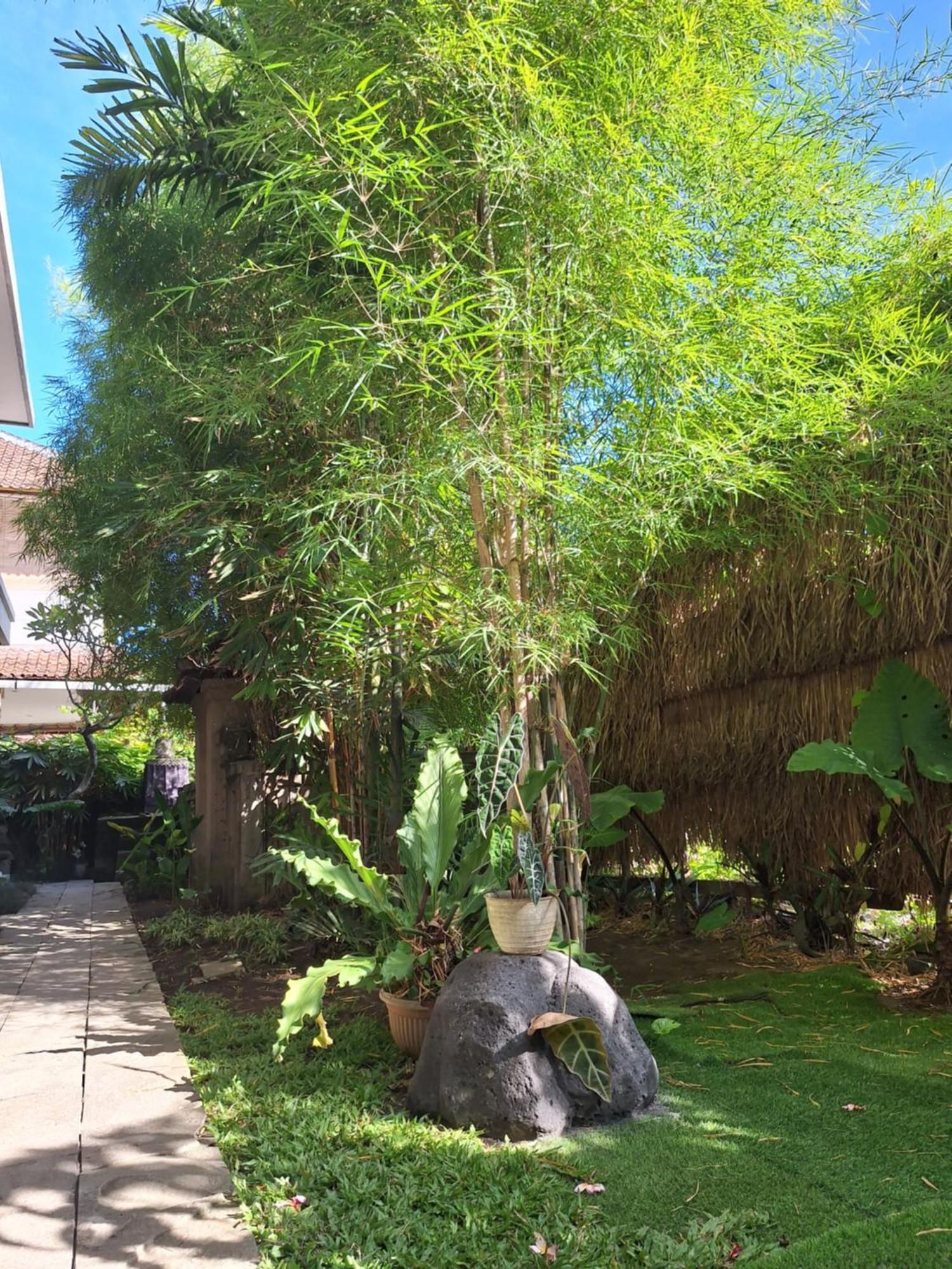 Kasapa Inn Ubud Exteriör bild
