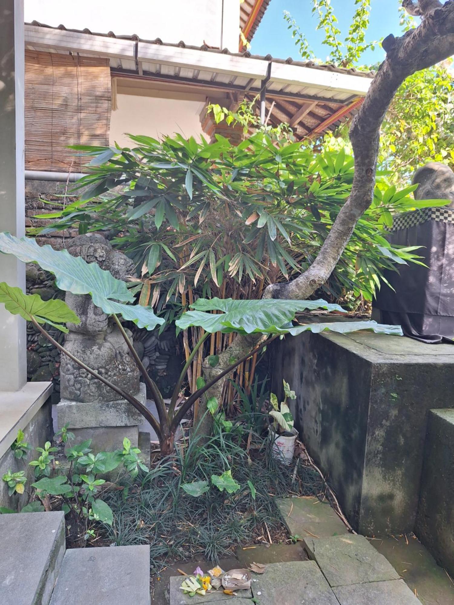 Kasapa Inn Ubud Exteriör bild