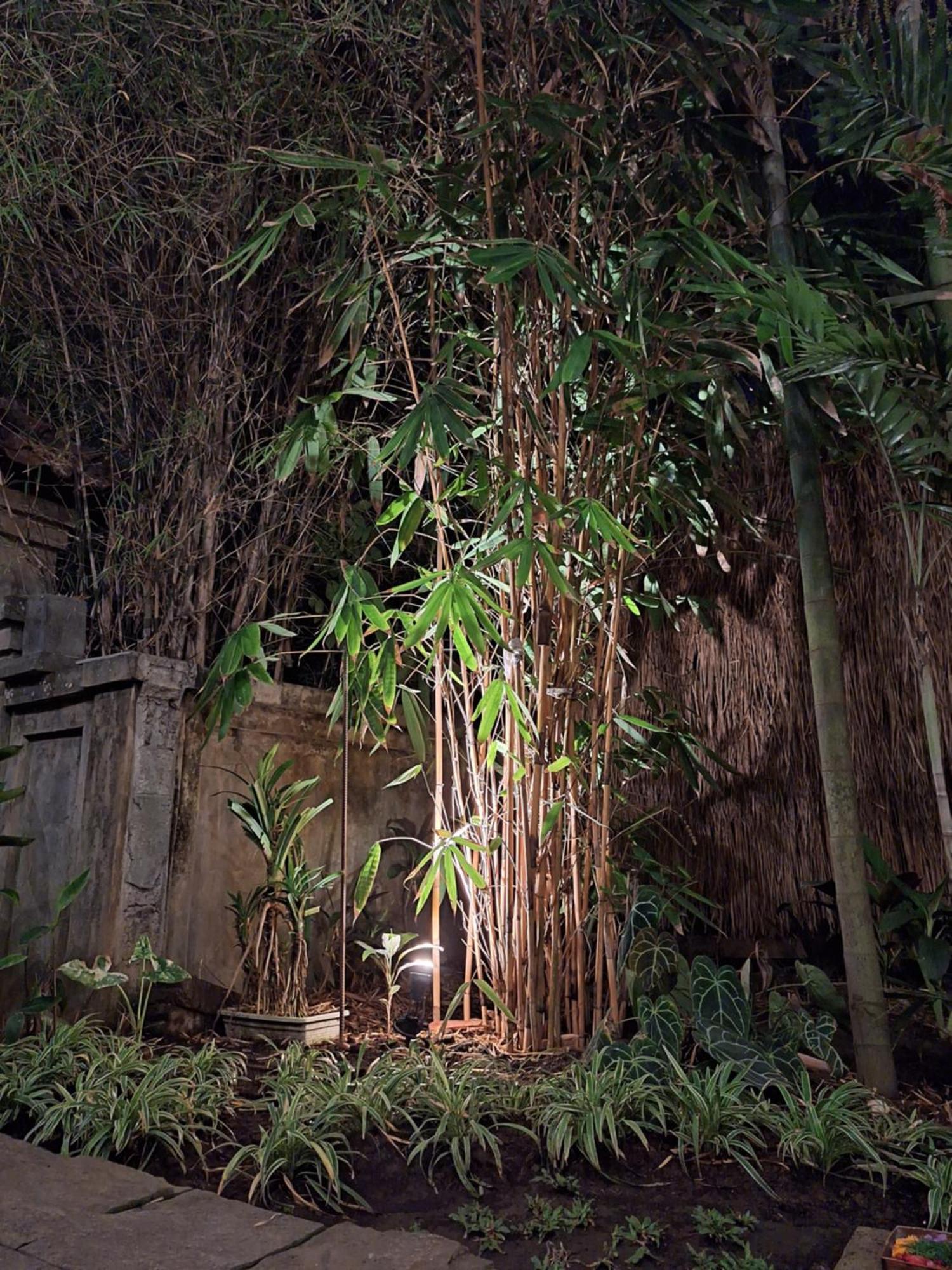 Kasapa Inn Ubud Exteriör bild